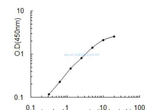 Bovine CLEC12B ELISA KIT