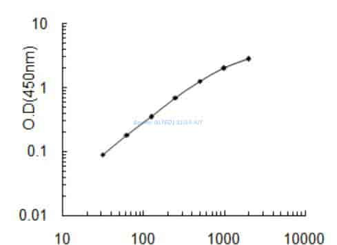 Bovine GLT6D1 ELISA KIT