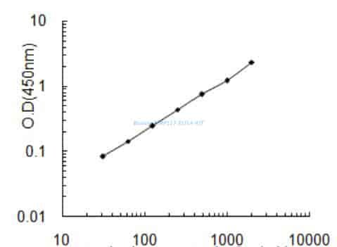 Bovine MRPL17 ELISA KIT