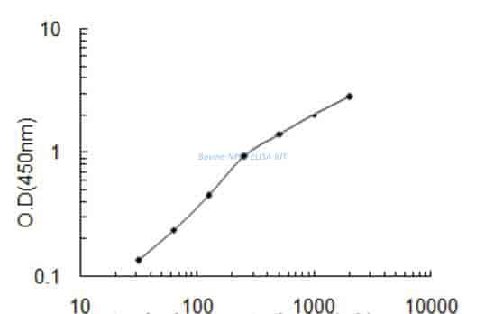 Bovine NFE2 ELISA KIT
