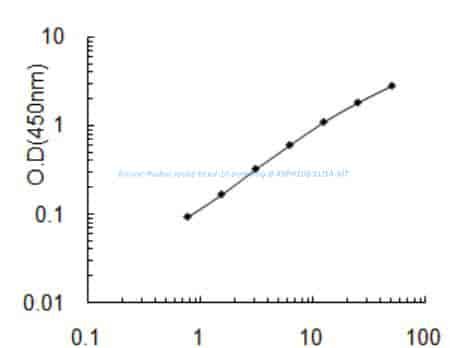 Bovine Radial spoke head 10 homolog B, RSPH10B ELISA KIT