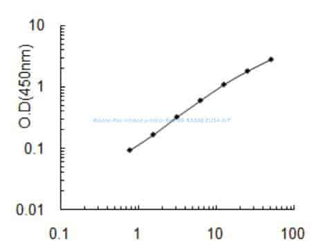 Bovine Ras- related protein Rab- 8B, RAB8B ELISA KIT
