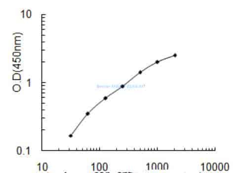 Bovine SHMT2 ELISA KIT