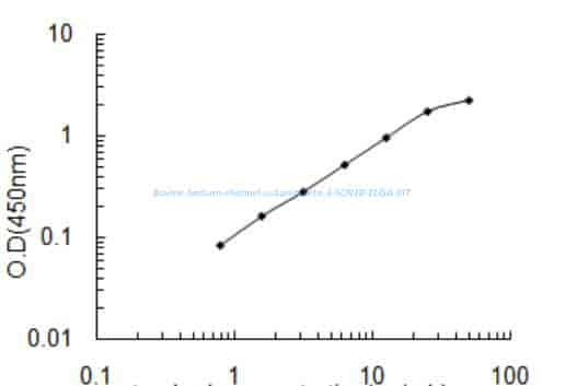 Bovine Sodium channel subunit beta- 3, SCN3B ELISA KIT