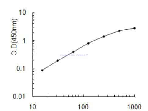 Canine SYN1 ELISA KIT