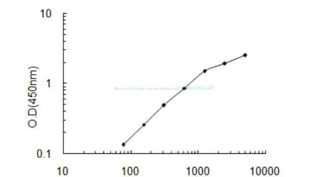 Human A- kinase anchor protein 12, AKAP12 ELISA KIT