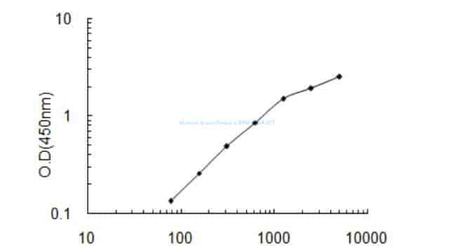 Human Arylsulfatase I, ARSI ELISA KIT