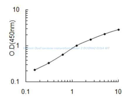 Human Dual oxidase maturation factor 2, DUOXA2 ELISA KIT