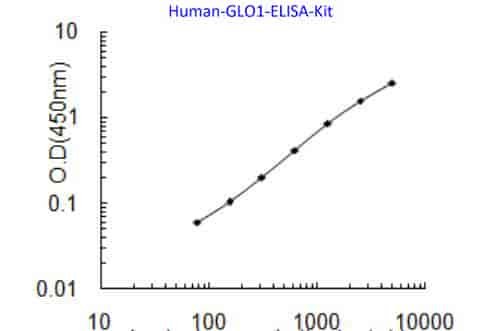 Human GLO1 ELISA Kit