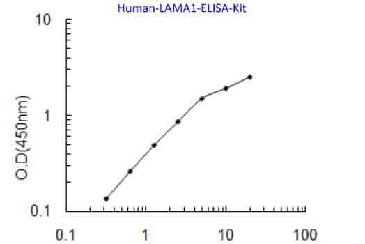 Human LAMA1 ELISA Kit