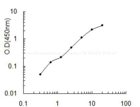 Human Melanoma- associated antigen B1, MAGEB1 ELISA KIT