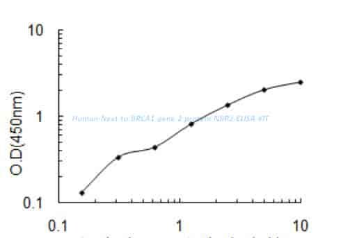 Human Next to BRCA1 gene 2 protein, NBR2 ELISA KIT