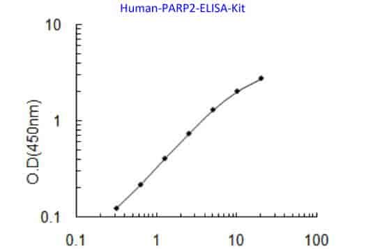Human PARP2 ELISA Kit