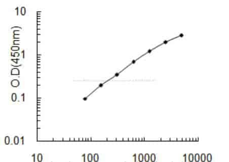 Human POTE ankyrin domain family member B, POTEB ELISA KIT
