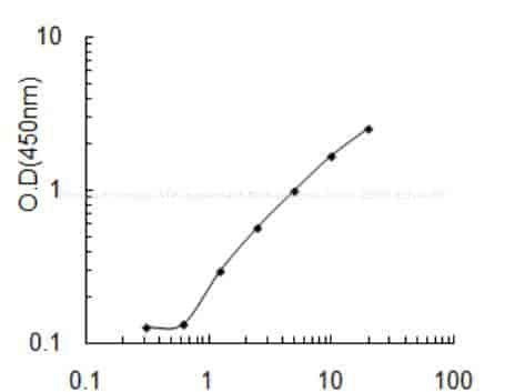 Human Probable ATP- dependent RNA helicase DDX5, DDX5 ELISA KIT
