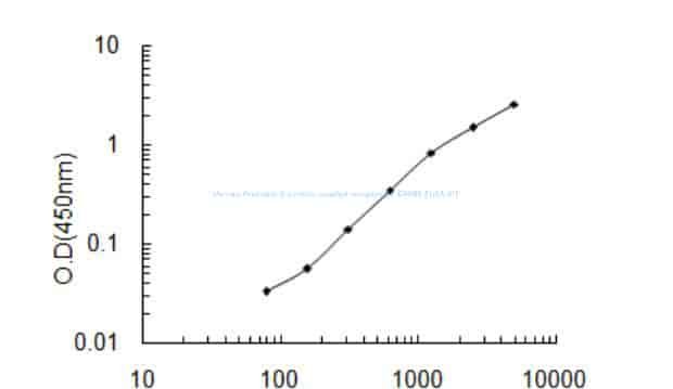 Human Probable G- protein coupled receptor 85, GPR85 ELISA KIT