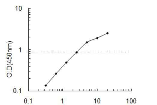 Human Probable RNA- binding protein 20, RBM20 ELISA KIT