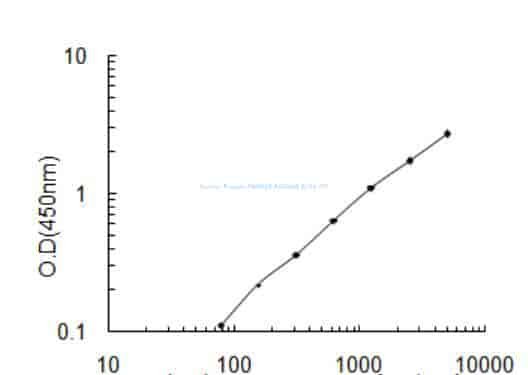 Human Protein FAM46B, FAM46B ELISA KIT