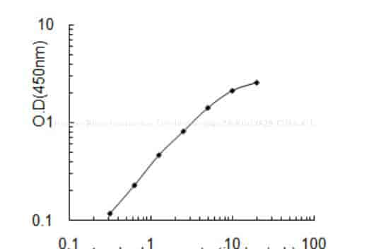Human Rhox homeobox family member 2B, RHOXF2B ELISA KIT