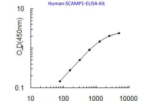 Human SCAMP1 ELISA Kit