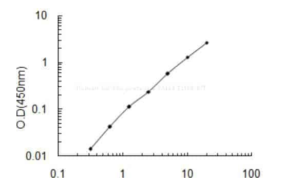 Human Sal- like protein 3, SALL3 ELISA KIT