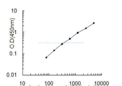Human Thioredoxin reductase 2, mitochondrial, TXNRD2 ELISA KIT