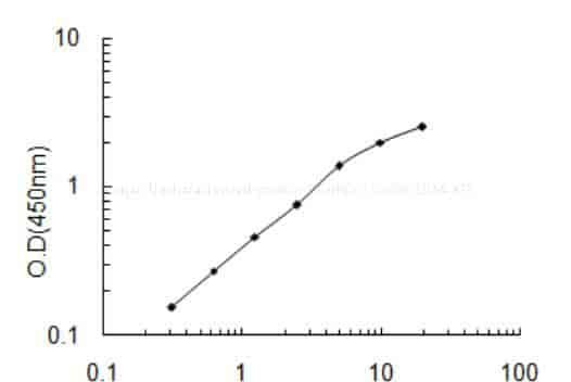 Human Uncharacterized protein C7orf65, C7orf65 ELISA KIT