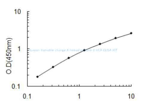 Human Variable charge X- linked protein 1, VCX ELISA KIT