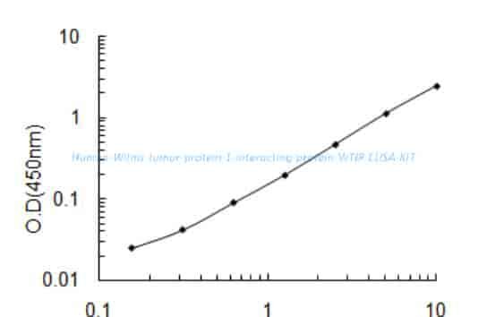 Human Wilms tumor protein 1- interacting protein, WTIP ELISA KIT