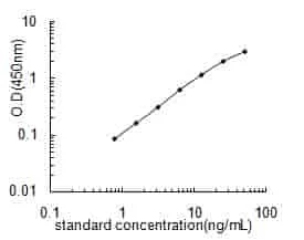 Human LTB4R ELISA KIT