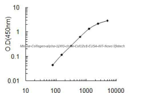 Mouse Collagen alpha- 1(XII) chain, Col12a1 ELISA KIT