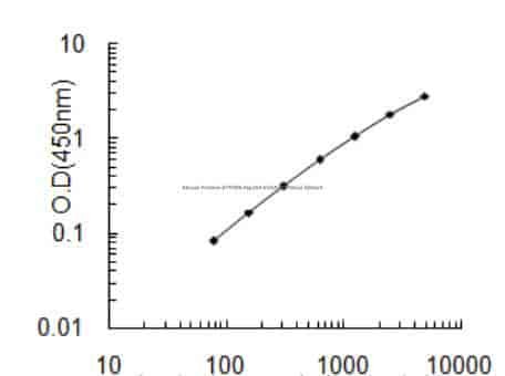 Mouse Protein ATP1B4, Atp1b4 ELISA KIT