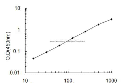 Mouse Protein BRICK1, Brk1 ELISA KIT