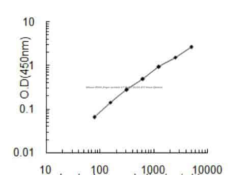 Mouse RING finger protein 17, Rnf17 ELISA KIT