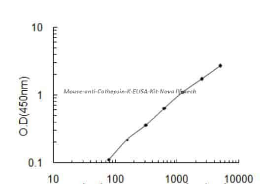 Mouse anti- Cathepsin K ELISA Kit