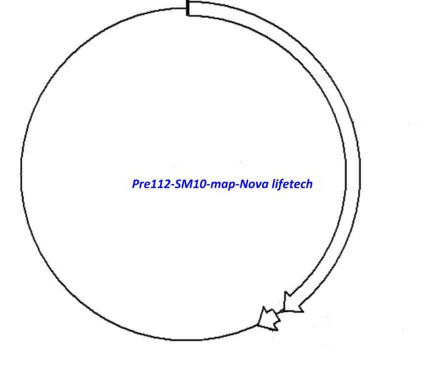 Pre112/SM10