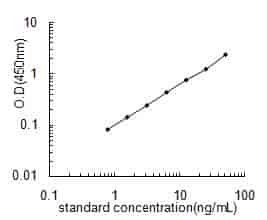 PICP| Rat C-terminal propeptide of Collagen alpha-1