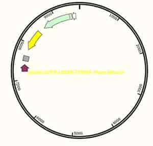 pBabe EGFR(L858R-T790M)