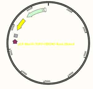 pCR-BluntII-TOPO-FBXO40