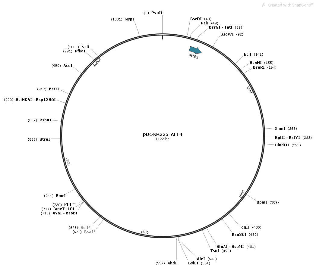 pDONR223-AFF4 Plasmid