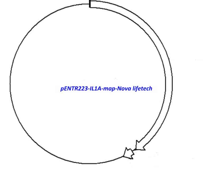pENTR223-IL1A