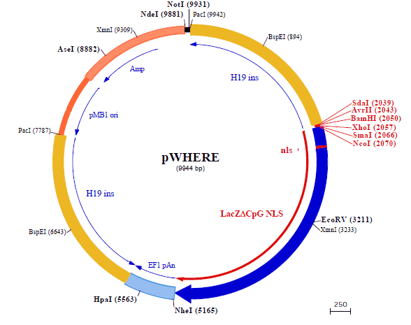 pWHERE