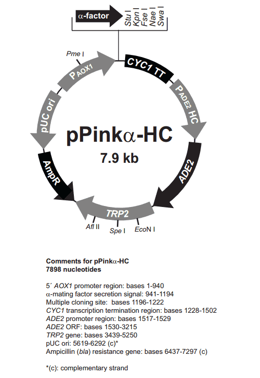pPink